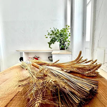 Casa Scandic Family Rooms&apartments Guest house Matosinhos (Porto)